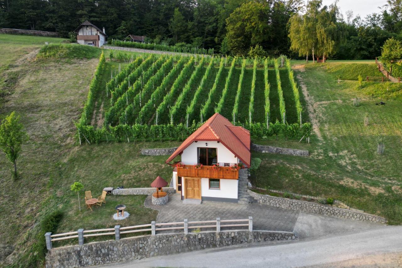 Vineyard Cottage Krivic Trebelno Экстерьер фото