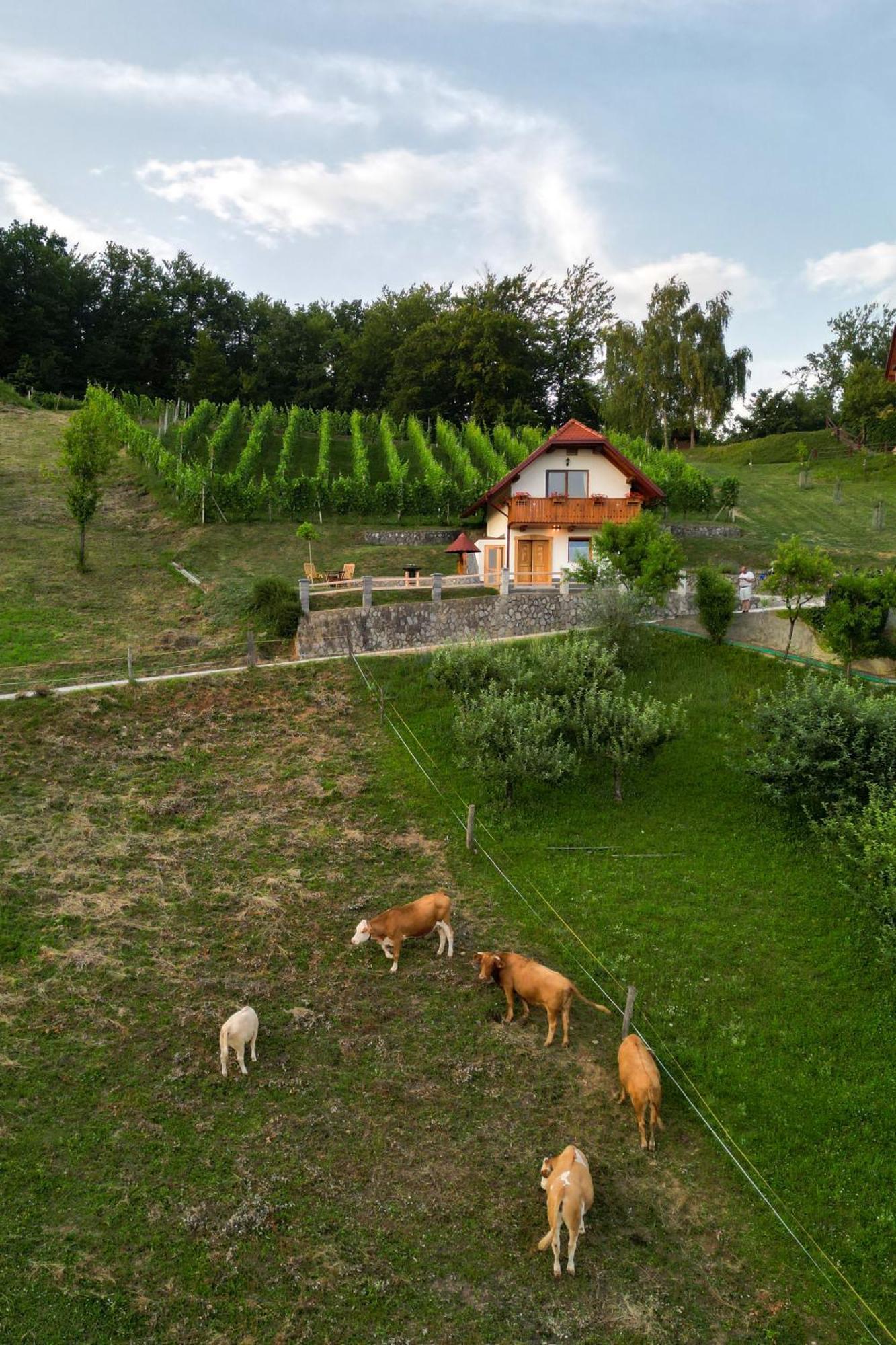 Vineyard Cottage Krivic Trebelno Экстерьер фото