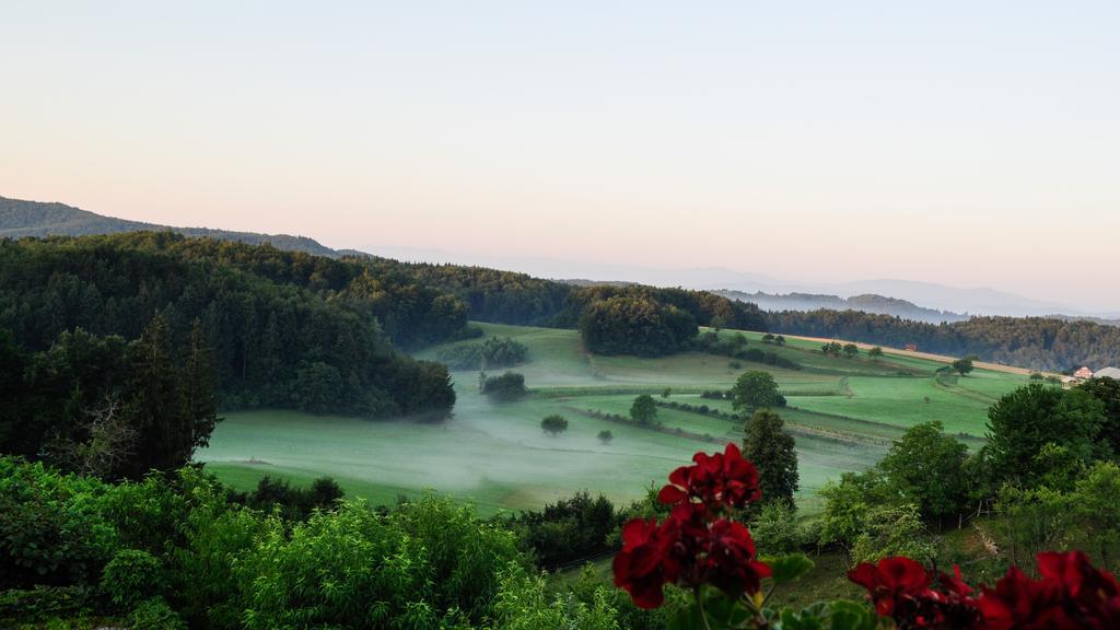 Vineyard Cottage Krivic Trebelno Экстерьер фото